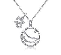 Qings Collar Plata Mujer Zodíaco Capricornio BFF Amigas Amistad Collares Símbolos del Astrología Colgante Horóscopo, Día de San Valentín Regalo para Mujer Niña Fiesta