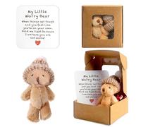 QingWing Mini Oso de Preocupación, 8.5 cm Osos de Bolsillo con Tarjeta Inspiradora, Oso Pequeño en Caja, Adecuado para Niños, Madres, Regalos de San Valentín y Navidad, Marrón