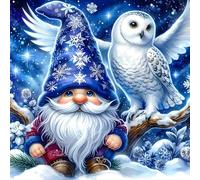 QINRUBB DIY Gnome Diamond Painting Kits, Full Drill Snowy Owl Diamond Art Painting Kits for Adults Beginners, DIY 5D Painting by Numbers Winter Diamond Art Kits for Home Decor 12x12 inch