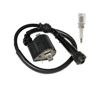 QINSHU Bobinas Encendido Motor para Raptor 660R YFM660R Grizzly 660 YFM660FA Bujía Bobina Encendido Encendido Motocicleta