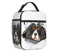 QIOEURYU Bolsa de Almuerzo The Cavalier King Charles Spaniel Lindo Cachorro Aislado Nevera térmica para perros Almuerzo Tote Kids Children para Trabajo,Escuela,Viajes,Picnic,Oficina