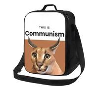 QIOEURYU Bolso de mano Retro personalizado Comunismo Floppa Lindo Bolsa de almuerzo Hombres Mujeres Enfriador térmico Cajas de almuerzo aisladas para estudiantes Escuela Ocio Regalos de vacaciones