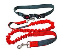 QitinDasen Correa Perros Manos Libres, Cinturón de Cintura Ajustable Gris y Correa Elástica Retráctil de Doble Manija Naranja, Correa Perros Trotar con Costuras Reflectantes