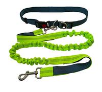 QitinDasen Correa Perros Manos Libres, Cinturón de Cintura Ajustable Gris y Correa Elástica Retráctil de Doble Manija Verde, Correa Perros Trotar con Costuras Reflectantes