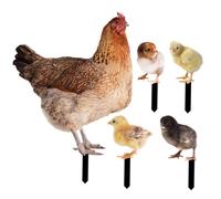 QIUMING decoración de Metal Oxidado para el Jardin estacas de Jardin de Arte de Patio Estacas Decorativas de Jardín para Decoración de Jardín, Camino, Aceras, Jard (gallina + Pollito)