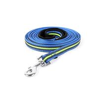 QIUYMGFG Correa de Perro Correas Extensibles Correas de Nailon para Perros de 3M/5M/10M de Largo para Entrenamiento de Seguimiento al Aire Libre, cinturón de Plomo para Mascotas(Blue-Green,L-5m)