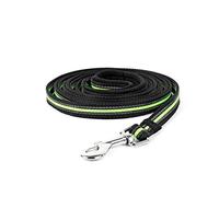 QIUYMGFG Correa de Perro Correas Extensibles Correas de Nailon para Perros de 3M/5M/10M de Largo para Entrenamiento de Seguimiento al Aire Libre, cinturón de Plomo para Mascotas(Green-Black,XL-10m)