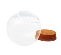 QIXCXAZ Vitrina de cúpula con Globo de Cristal Que Ofrece oportunidades únicas para exhibir Luces de Hadas y muñecas DIY. Vitrina Protectora Decorativa, 10cm