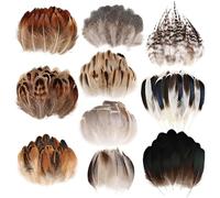 Qixuer Plumas Decorativas Naturales, 300 Pcs Plumas para Manualidades 10 Estilos Decoraciones de Pollo para Decoración del Hogar Disfraces Hats Bodas y Proyectos de Bricolaje
