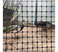 QIYFOZ Valla Cuadrada de Malla de Pavo Real para jardín, gallinas, Conejos, Ligera, de plástico, de Seguridad, para Patio, Nieve, Mascotas (1,2 x 50 m/3,94 x 164 pies)