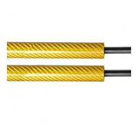 Qjahxkf Portón Trasero Puntales Gasolina para Serie 1 para F20 2011-2019 Hatchback Auto Pop-Up Trunk Struts amortiguadores(Yellow Carbon Fiber)