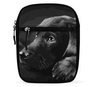 Qjjinxior Bolso bandolera Zombies Dead Men Walking Body at Night Bandolera multiusos pequeña para trabajo, negocios, viajes, Arte de cachorro labrador negro, Talla única