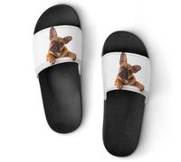 Qjjinxior Pantuflas antideslizantes, pata de bulldog francés y deslizadores de perro para hombres y mujeres, toboganes de ducha, Estilo negro, 39 EU