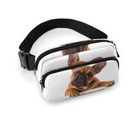 Qjjinxior Riñonera ajustable con diseño de calavera con rosas, para correr, caminar, senderismo, Pata y perro de bulldog francés, 20x13cm