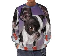 Qjjinxior Sudadera de manga larga con cuello redondo, calavera y huesos cruzados, suéteres casuales ligeros para hombre, Boxeo Boston Terrier, S