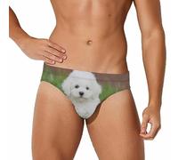 Qjjinxior Traje de baño para hombre, fondo azul con dinosaurios, pantalones cortos deportivos, ropa interior sexy para verano, surf, playa, Bichon Frise Dog, M
