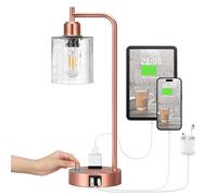 QJRGUY Industrial Style Table Lamp with USB Port, Dimmable Glass Shade and Socket (Brown)