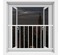 QJSZMEI Barrera de Seguridad para Niños, Barrera de Seguridad, Reja para Ventana, Protección para Puertas y Ventanas, Reja de Seguridad para Niños y Mascotas (Color : Silver, Tamaño : 40x80cm)