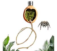 Qkbuza Accesorios para casas de arañas, jaula magnética de nogal - Decoración para terrario de arañas de saltar con cuerda - para mantener y criar geckos lagartos y ranas de árboles en terrarios