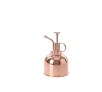 QLECXZI Pulverizador eficiente para Plantas, Botella,Oro Rosa | inoxidable, aplicación de niebla en plantas de interior con botella pulverizadora de agua de fácil agarre para
