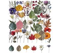 QLEUIFT 50 Piezas Transparent Flower Sticker, Pegatinas Flores Naturales Secas, Albumes Recortes Flores Stickers, Flower Decorative Stickers, Decoraciones Primavera, para Scrapbook Cuadernos