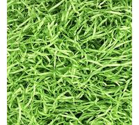 QLINLEAF Relleno de cesta de hierba verde de Pascua de 1 libra, papel reciclable, hierba de rafia verde, relleno de papel reciclable para fiesta de Pascua, relleno de cesta de regalo