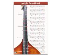 QMG Gráfico de dedos de graves vertical con notas codificadas por colores, tabla de doble bajo adecuada para todos los niveles, laminada, tamaño 28 x 43 cm