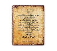 QMIQXIWS Carpe Diem Style Quote Metal Sign Life Should Not Be A Journey To The Grave Wow What A Ride for Office Wall Living Room (8 X 12 in)
