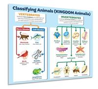 QMIQXIWS Science Classroom Decor, Animal Kingdom Classification Zoology Chart, Biology Wall-Art for Middle High School Homeschool(Unframed,12x18inch(30x45cm))