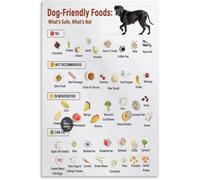 QMKADFQXF Dog Owner Food Guide Poster What to Feed Your Dog Wall Decor(Framed,16x24inch(40x60cm))