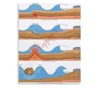 QMKADFQXF Tsunami Disaster Formation Causes Educational Earth Science Poster Oceanography Chart Classroom Decor(Unframed,16x24inch(40x60cm))
