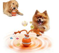 Qosigote Twinkle Paw Motion Ball, 2026 New Electric Rolling Pet Toy Ball, Chase Buddy Dog Toy, Interactive Dog Toys Balls, with Bird Sounds, USB recargable, for Puppy/Small/Medium Dogs (A)