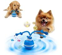 Qosigote Twinkle Paw Motion Ball, 2026 New Electric Rolling Pet Toy Ball, Chase Buddy Dog Toy, Interactive Dog Toys Balls, with Bird Sounds, USB recargable, for Puppy/Small/Medium Dogs (B)