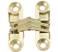 QOXEZY Bisagra invisible oculta para puerta plegable invisible con 1 pieza y tamaño 13 x 45 mm, hecha de madera y acero inoxidable (dorado 11 x 40 mm)