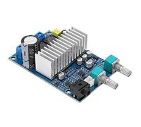 Qqmora Placa Amplificadora de Graves, Módulo Amplificador Digital de Alta Potencia de 100W para Equipos de PCB 12-24V