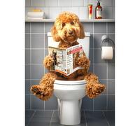 QQYRHN Poppy Reading Newspaper Diamond Painting Kits for Adults Beginners, 5D Toilet Diamond Art Kits, DIY Round Full Drill Gem Art with Painting Kits Relaxing Craft for Home Wall Decor 12x16 Inch