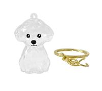Qrity 1 Pieza Llavero Conmemorativo de Pelo de Mascota, Llavero de Almacenamiento de Pelo de Perro, Regalo para Amantes de Perros y Gatos