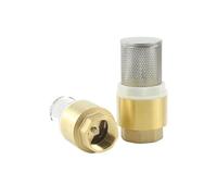 QRUYHBAJU Válvula de retención de latón de 1/2 ", 3/4" y 1 "con Filtro colador de Acero, Conector de instalación de tubería de Hilo Femenino BSP for Agua DN15/DN20/DN25(0.75 Inch)