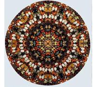 QSDTGHUIKP Circle Butterfly de Damien Hirst Grabados y pósters Damien Hirst Pintura en lienzo Arte abstracto en la pared Cuadro para la decoración de oficina 40x40cmx1 Sin marco