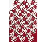 QSDTGHUIKP Famoso póster de M.C Escher Impresión en color Ilustración abstracta de pared 《Lagarto rojo》M.C Escher Pintura de lienzo para decoración del hogar 50x70cm sin enmarcar