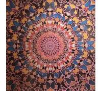 QSDTGHUIKP Mariposa en círculo de Damien Hirst Grabados y póster Pintura en lienzo de Damien Hirst Arte abstracto en la pared Cuadro para decoración de baño 40x40cmx1 sin marco