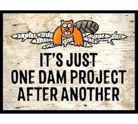 QSFDCLG Letrero de estaño divertido de 8 x 12 pulgadas con texto en inglés "It's Just One Dam Project After Another", póster de metal vintage, wje-A01