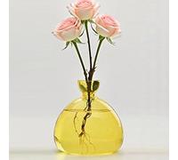 QSLKI Jarrón De Semillas De Aguacate, Cultiva Una Planta De Aguacate, Jarrón De Cristal para Árbol De Aguacate, Jarrón De Iniciación De Propagación De Plantas, Terrario, Jarrón Hidropónico (Amarillo)