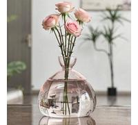 QSLKI Jarrón De Semillas De Aguacate, Cultiva Una Planta De Aguacate, Jarrón De Cristal para Árbol De Aguacate, Jarrón De Iniciación De Propagación De Plantas, Terrario, Jarrón Hidropónico (Polvo)