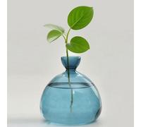 QSLKI Maceta de cristal para árbol de aguacate, kit de cultivo de árbol de aguacate, maceta de flores y bellota, jarrón de vidrio para el hogar, escritorio, decoración para amantes (azul)