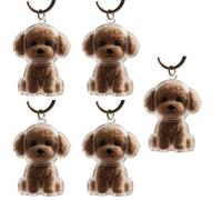 Qsvbeeqj 1. 2/3/4/5/10 llaveros transparentes para mascotas con compartimento de almacenamiento para gatos, perros, amantes de la simpatía, colgante de pelo de perro, caja de recuerdo