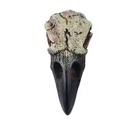 Qsvbeeqj - Collar de calavera de cuervo para adultos de Halloween, godos, joyería de resina, colgante de calavera de cuervo, decoración de fiesta, joyería novedosa