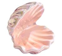 Qsvbeeqj Hecho a mano de cerámica concha organizadores autoridades presupuestarias decorativas para mesa de vanidad mesita de noche decoraciones playa boda placa decorativa de joyería, talla única