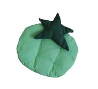 Qsvbeeqj Posavasos con motivos de tomate estera protectora para tazas, cuencos de cocina decorativa, uso de placemat mesa de comedor decoración bandeja de joyería posavasos