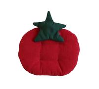 Qsvbeeqj Posavasos con motivos de tomate estera protectora para tazas, cuencos de cocina decorativa, uso de placemat mesa de comedor decoración bandeja de joyería posavasos